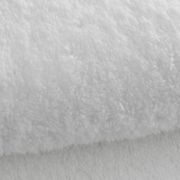 SWICH Series and Raspberry Enzyme